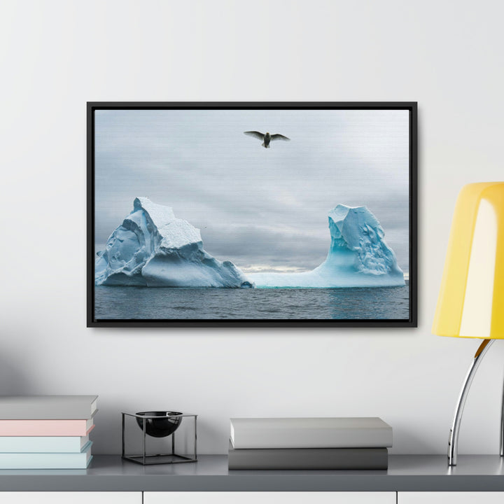 Antarctic Flight - Canvas with Frame