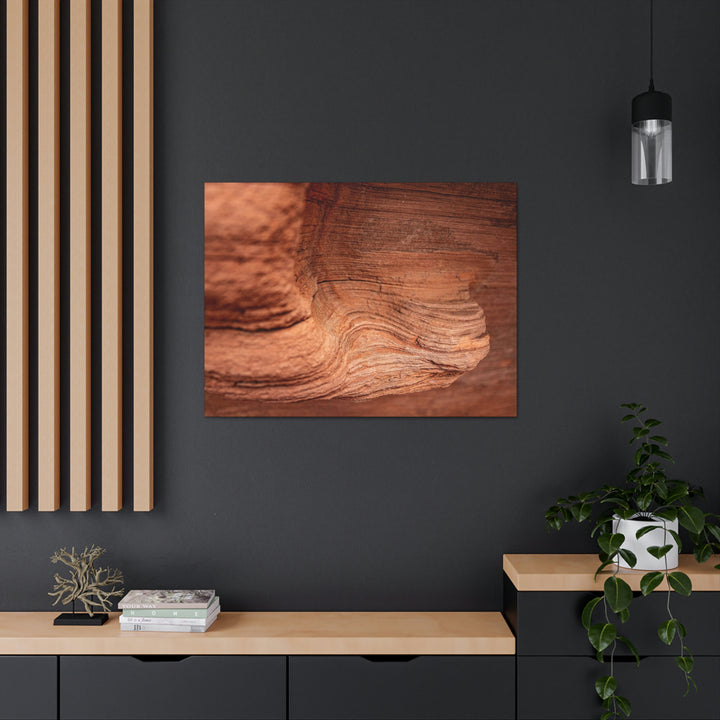 Sedimentary Rock Curves - Canvas