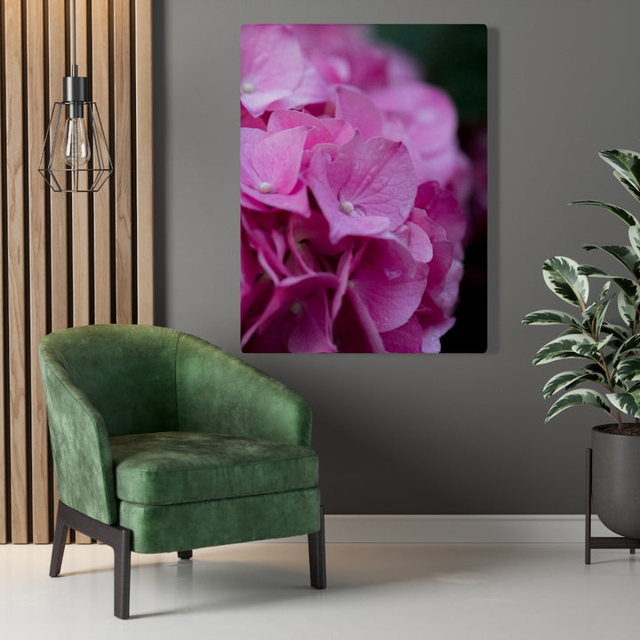 Pink Hydrangea Detail - Canvas