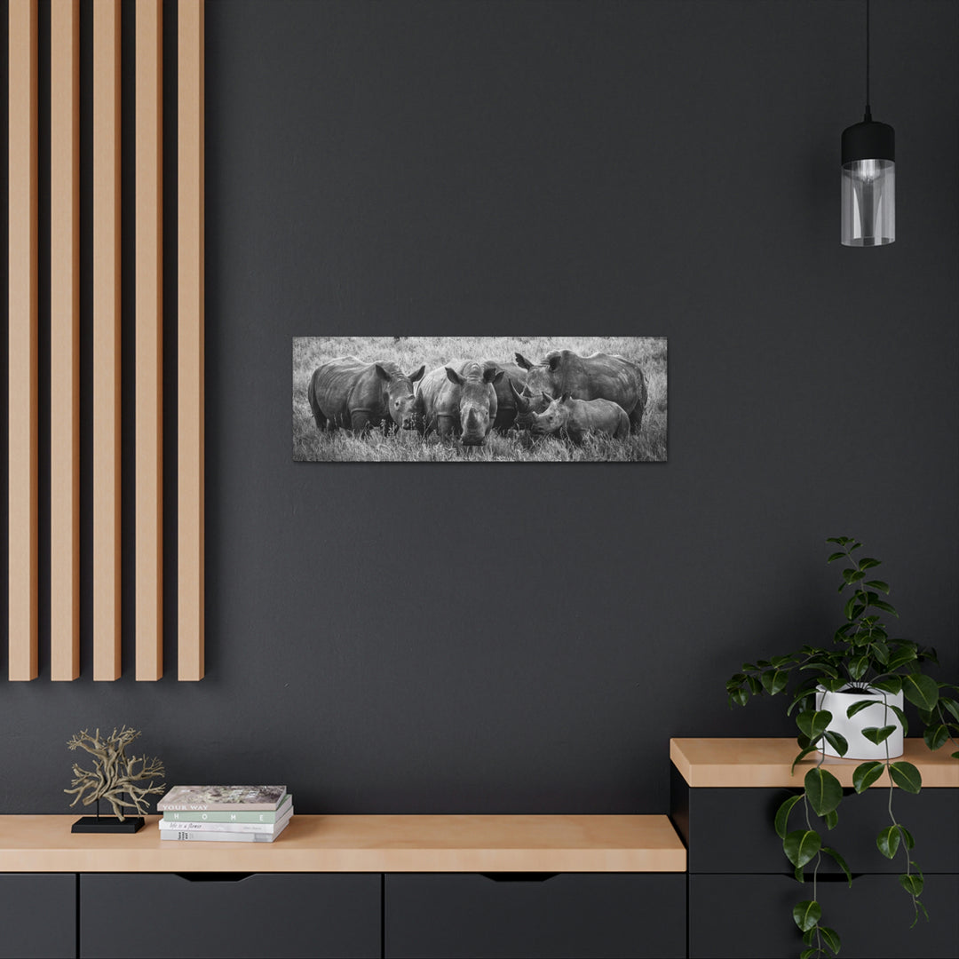 Rhino Family in Black and White - Canvas