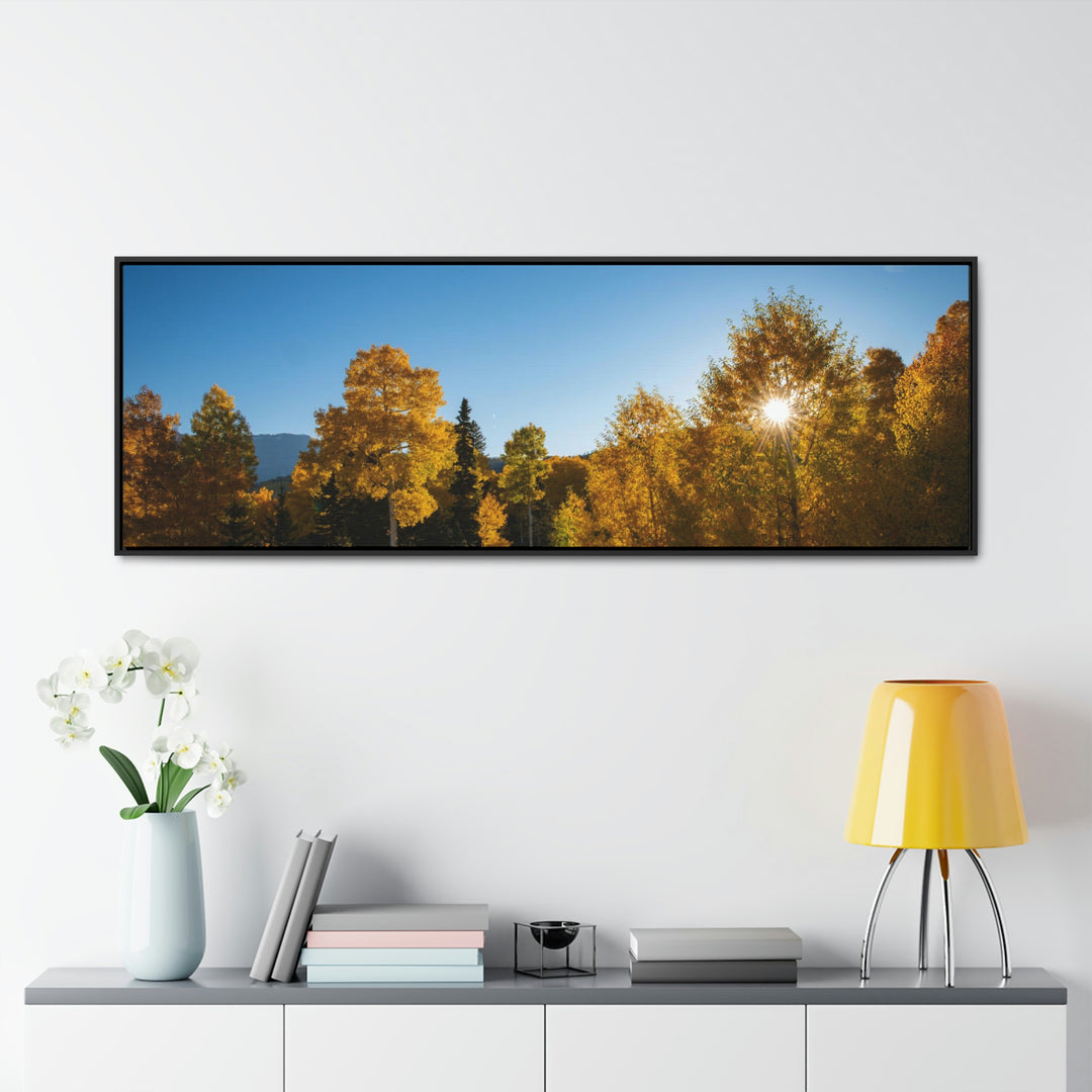 Sun Through the Aspens - Canvas with Frame