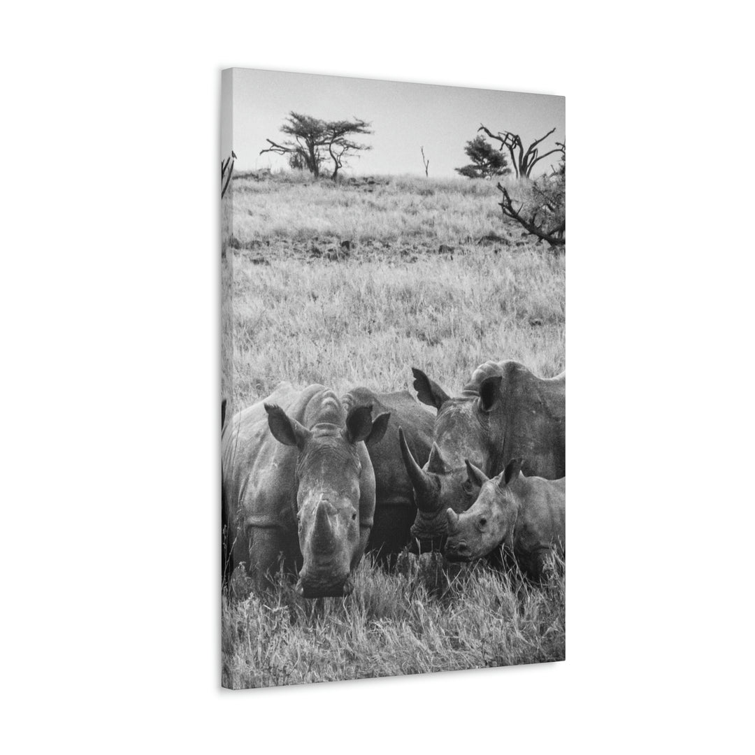 Rhino Family in Black and White - Canvas