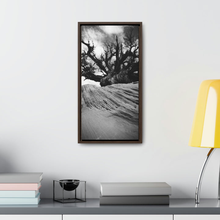 Desert Reach in Black and White - Canvas with Frame