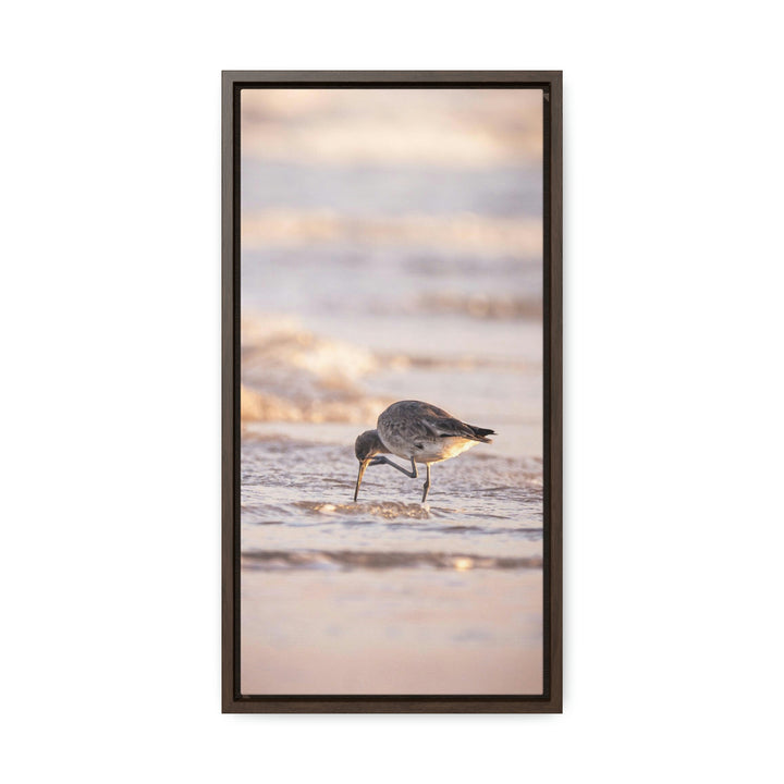 Willet Itch - Canvas with Frame