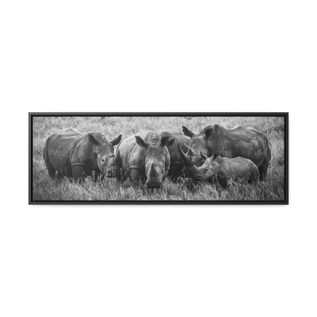 Rhino Family in Black and White - Canvas with Frame