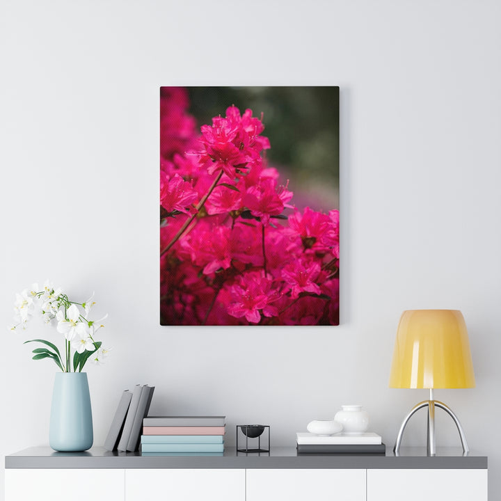 Full Bloom - Canvas