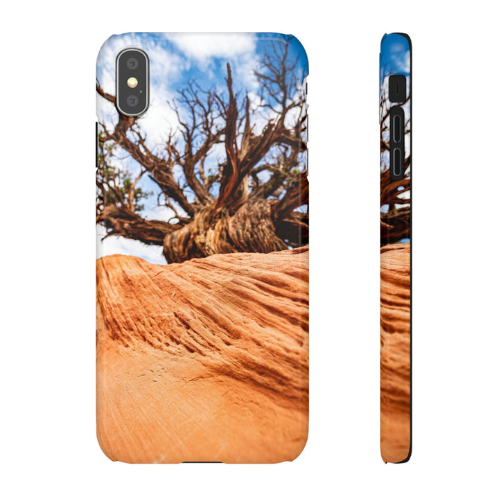 Desert Reach - Phone Case