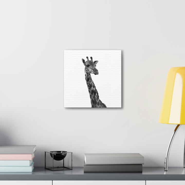 Giraffe Portrait in Black and White  - Canvas