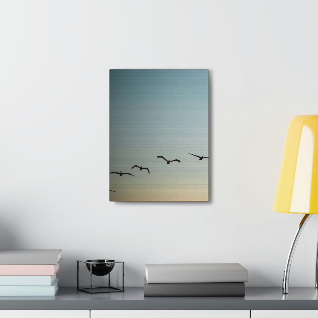 Brown Pelicans in Flight - Canvas