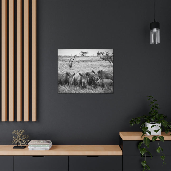 Rhino Family in Black and White - Canvas