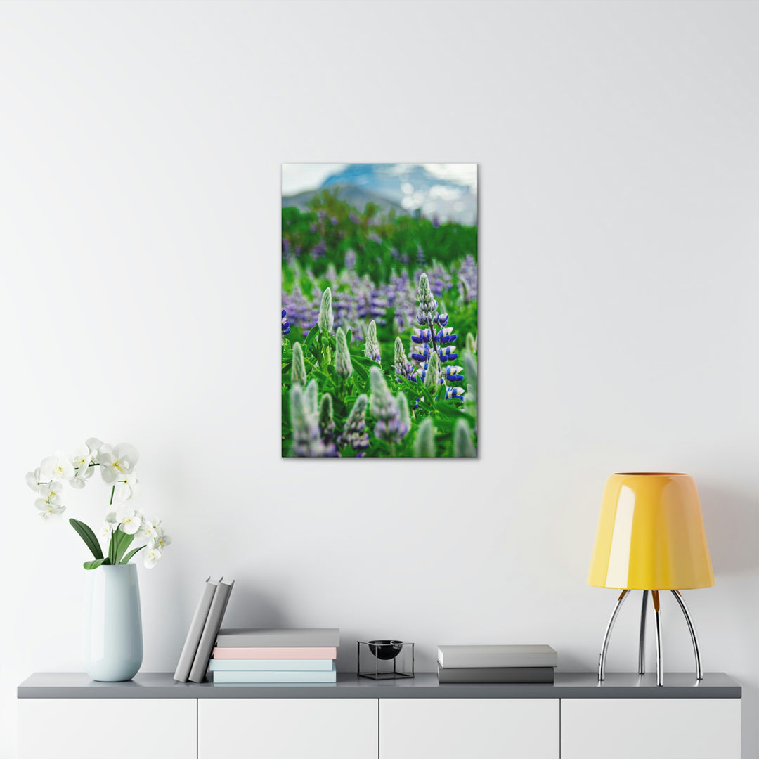 Glowing Lupin with Mountains - Canvas