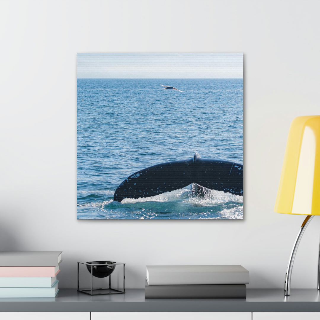 A Whale and A Mountain - Canvas