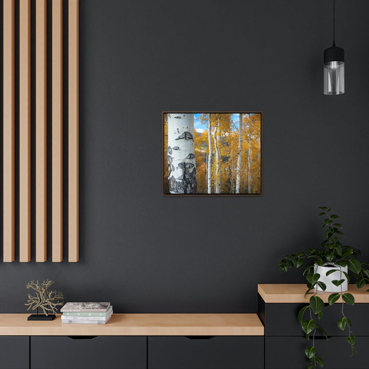 Aspens Changing - Canvas with Frame