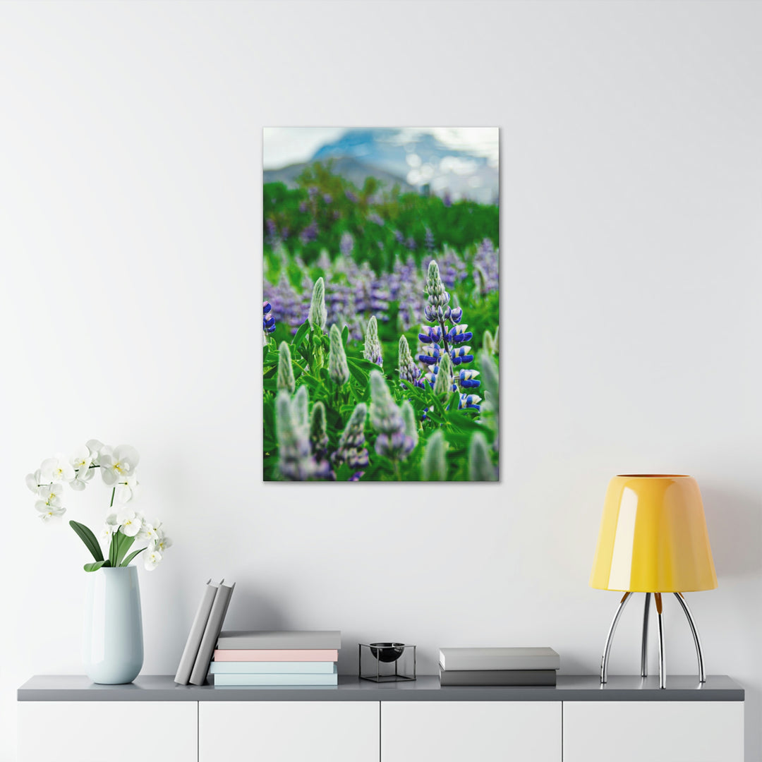 Glowing Lupin with Mountains - Canvas