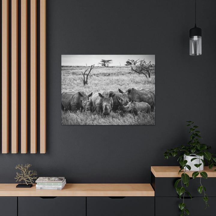 Rhino Family in Black and White - Canvas