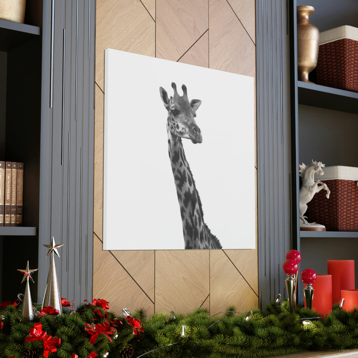 Giraffe Portrait in Black and White  - Canvas