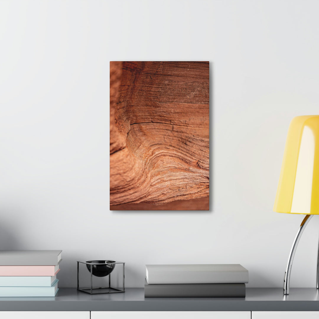 Sedimentary Rock Curves - Canvas