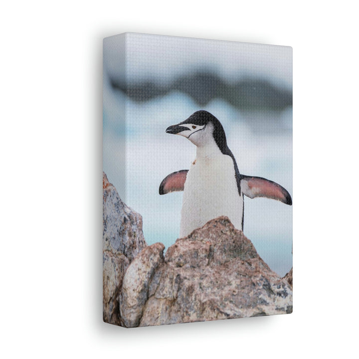 Stretched Penguin - Canvas