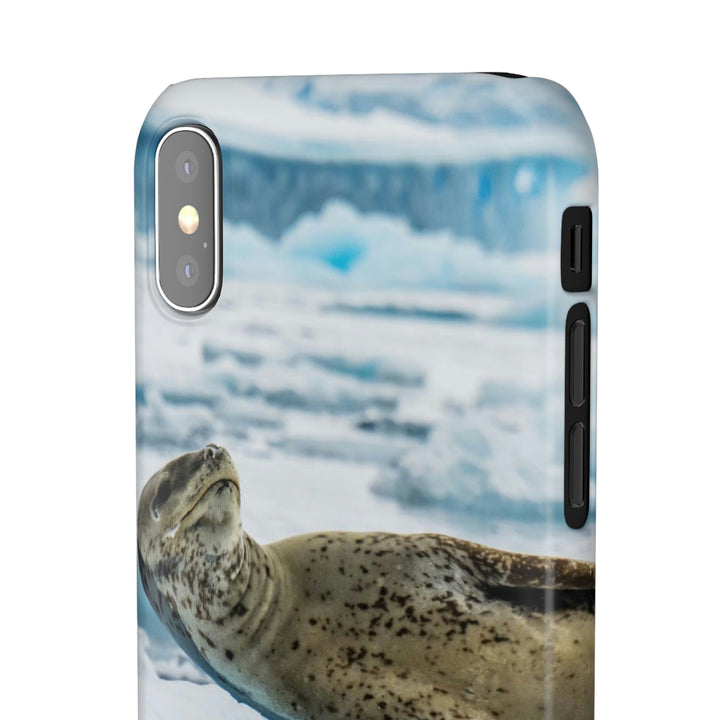 Leopard Seal Relaxing - Phone Case