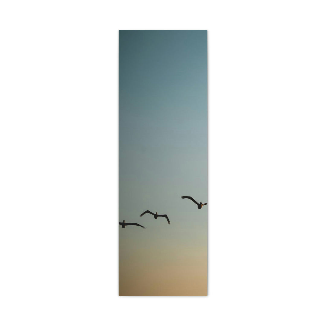 Brown Pelicans in Flight - Canvas