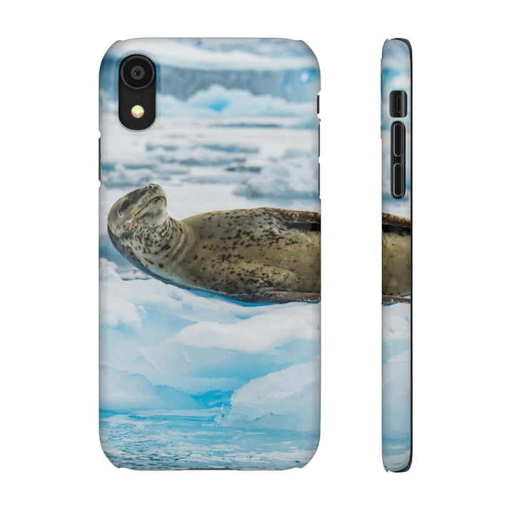 Leopard Seal Relaxing - Phone Case