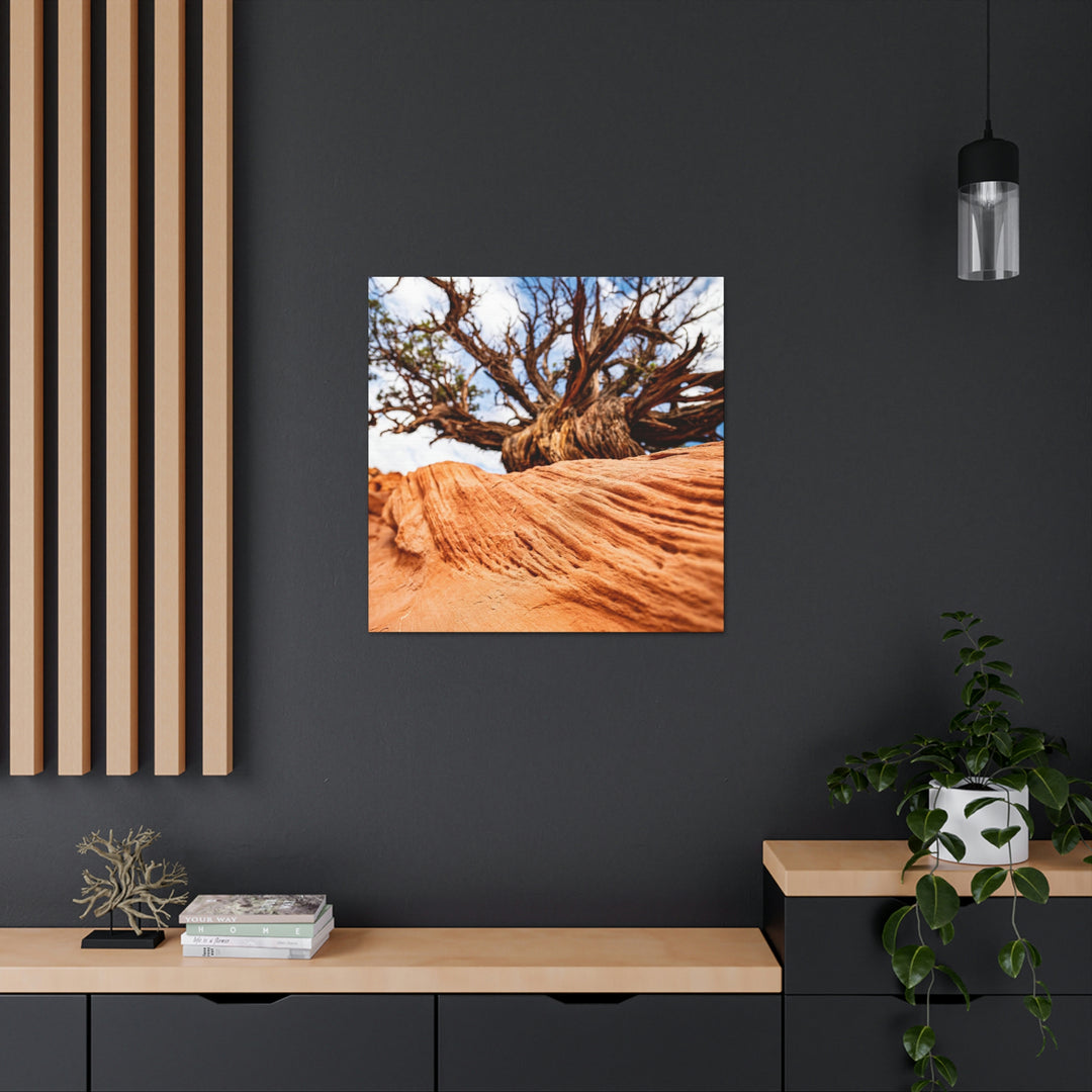 Desert Reach - Canvas