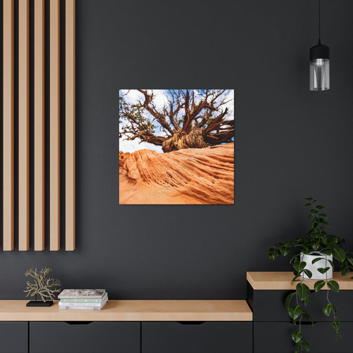 Desert Reach - Canvas