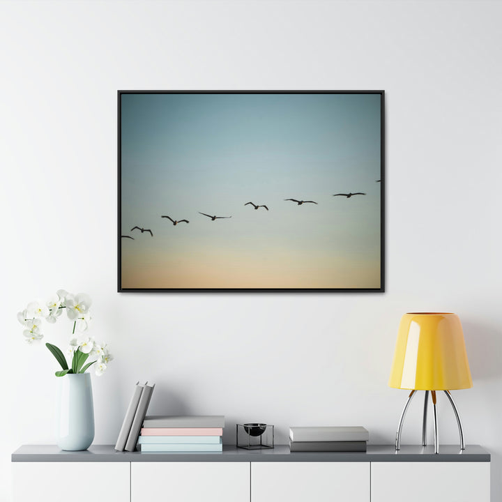 Brown Pelicans in Flight - Canvas with Frame