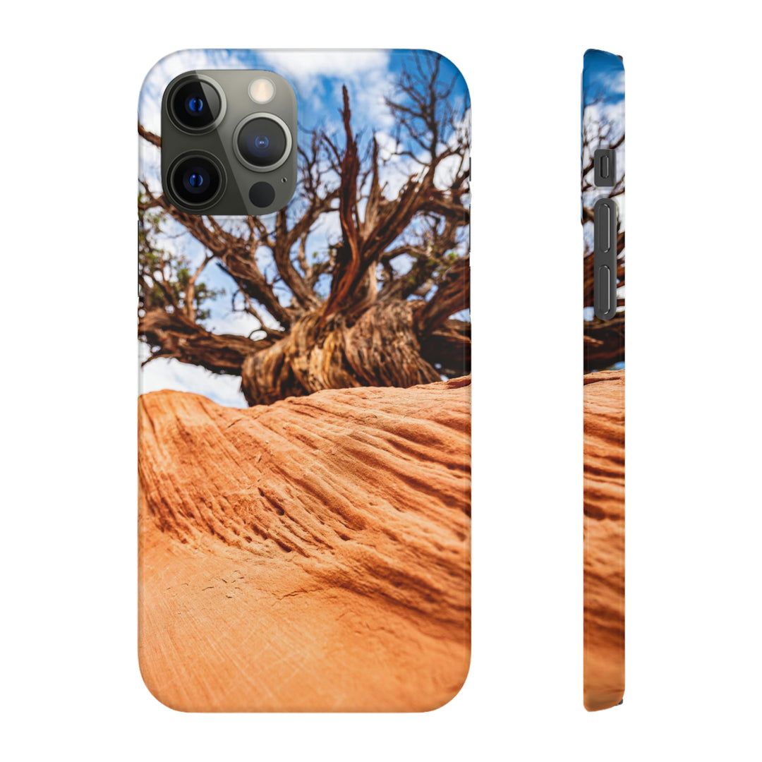 Desert Reach - Phone Case