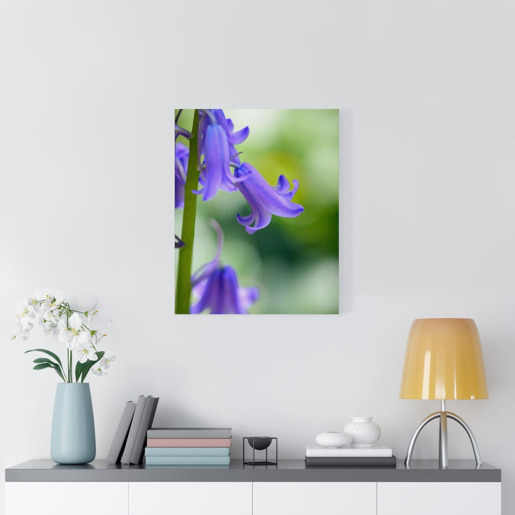 Delicate Bell - Canvas