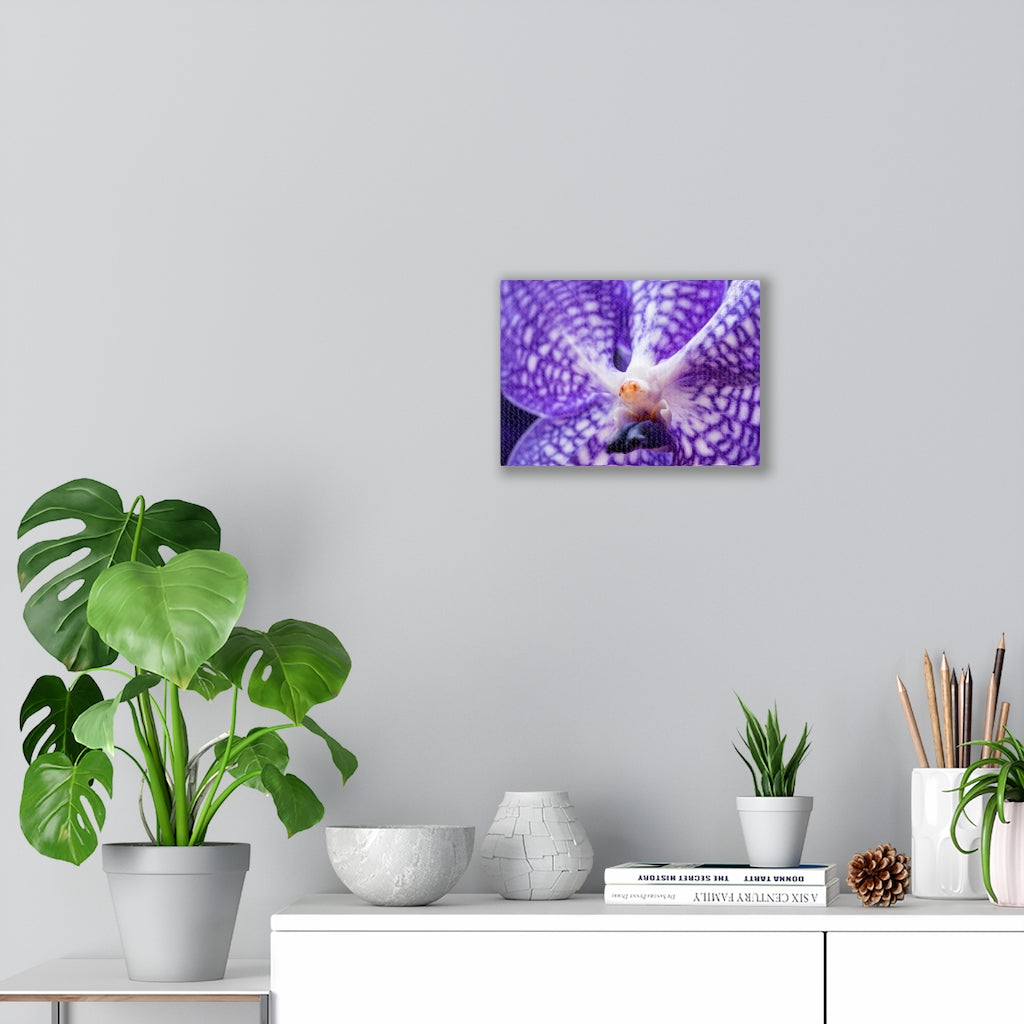 Orchid Detail - Canvas