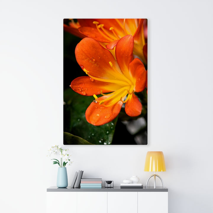 Bright Bush Lily - Canvas