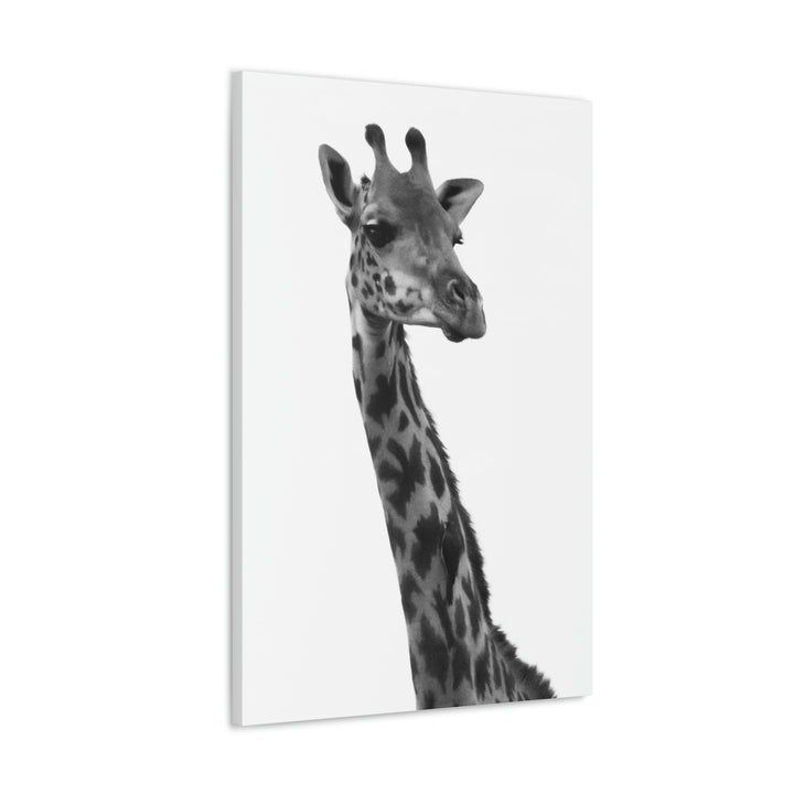 Giraffe Portrait in Black and White  - Canvas