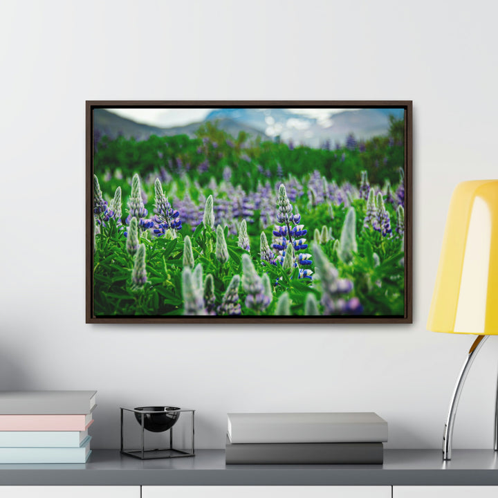 Glowing Lupin with Mountains - Canvas with Frame