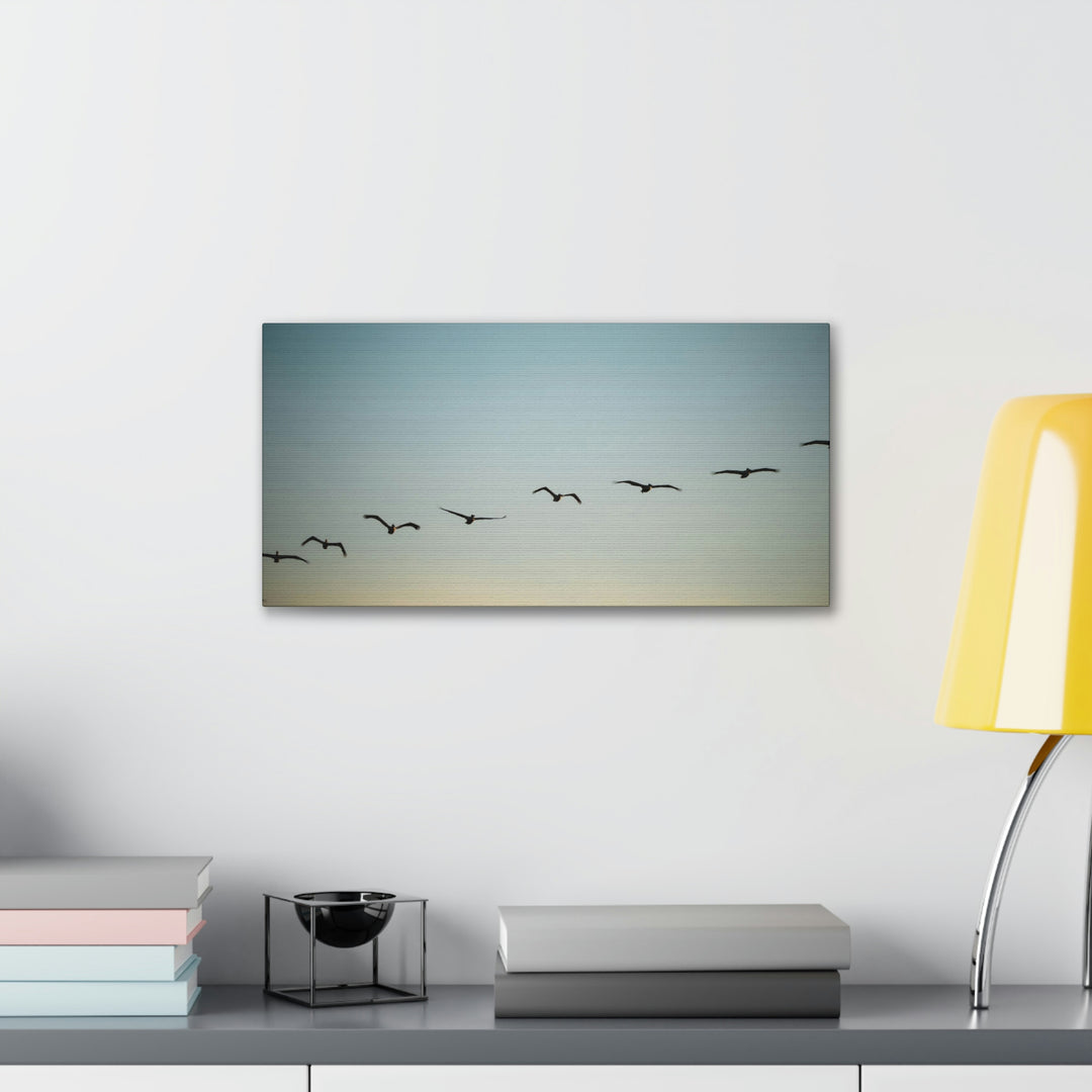 Brown Pelicans in Flight - Canvas