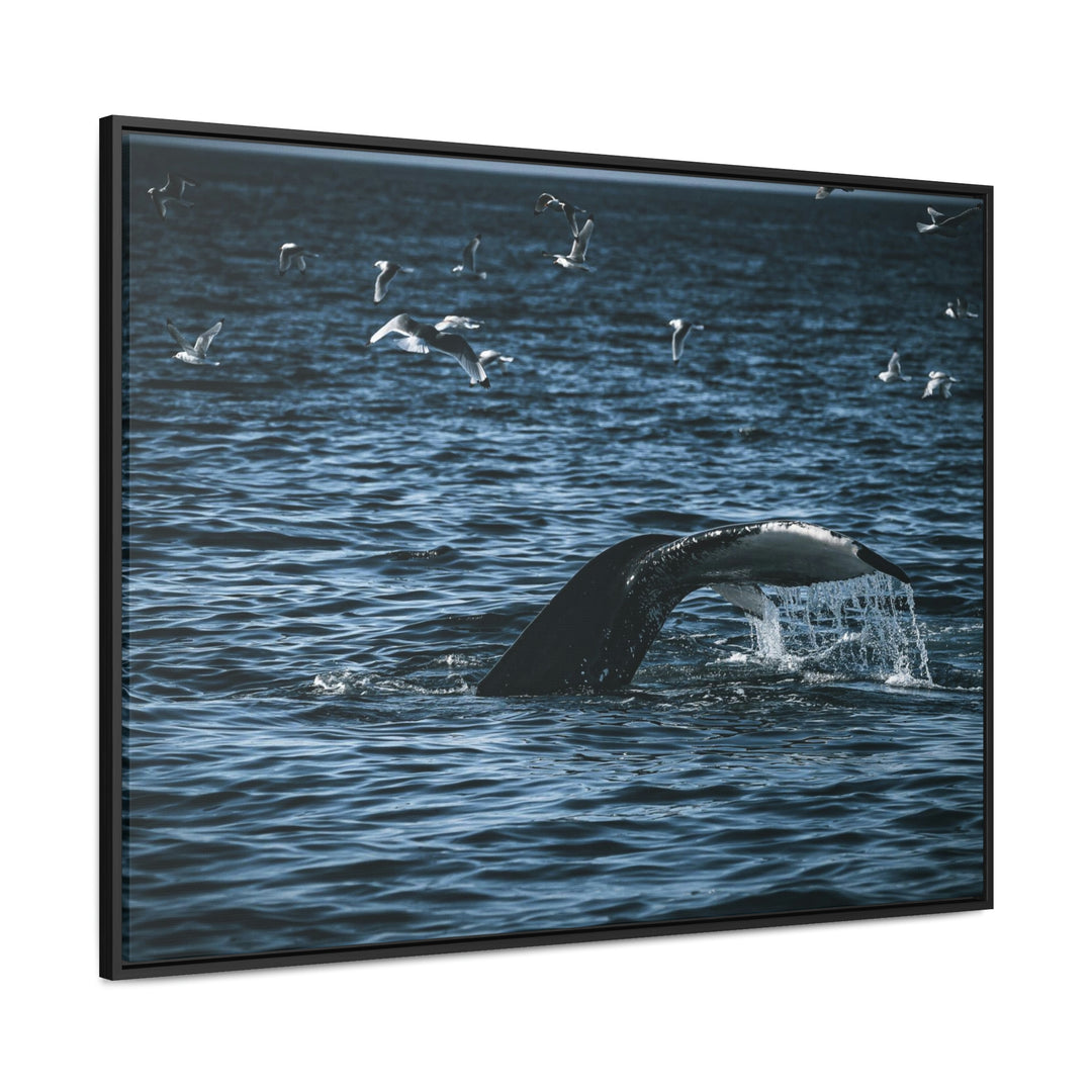 Feeding Tail - Canvas with Frame