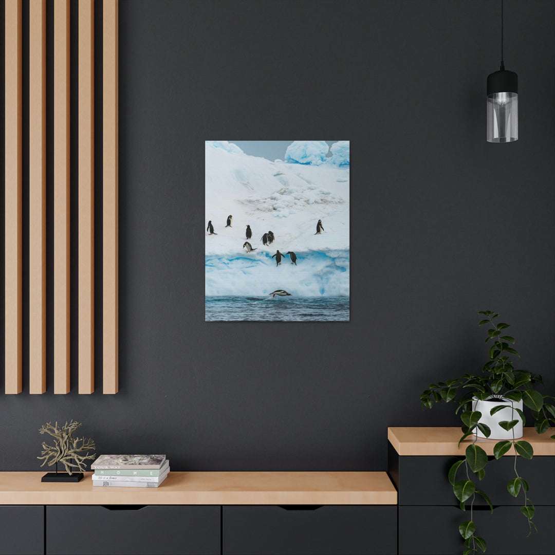 Porpoising Penguin - Canvas