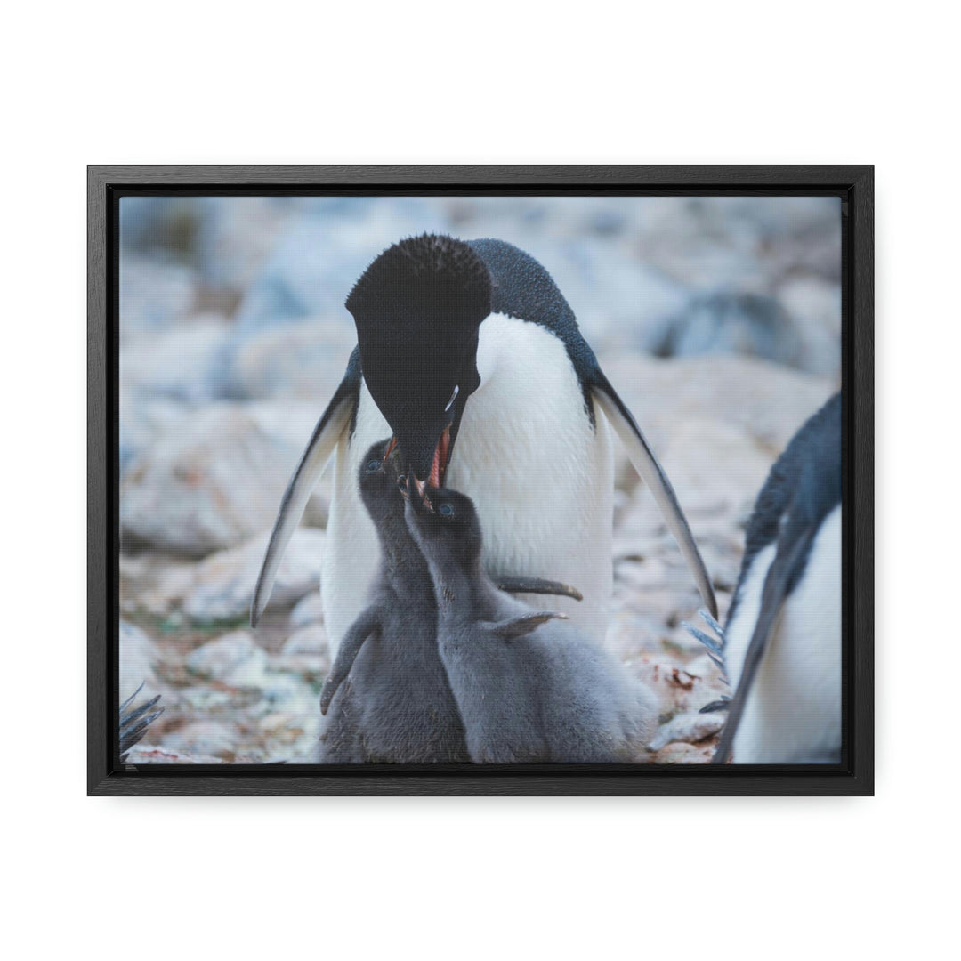 Feeding Time - Canvas with Frame