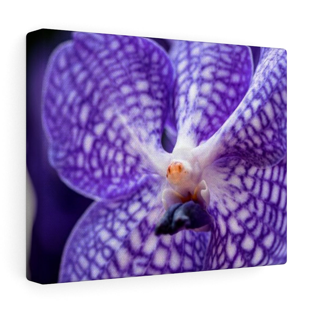 Orchid Detail - Canvas