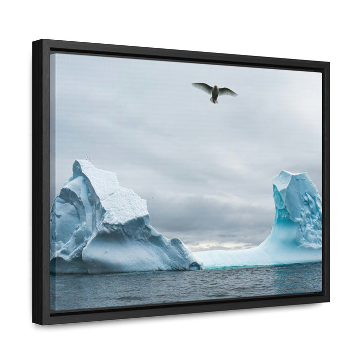 Antarctic Flight - Canvas with Frame