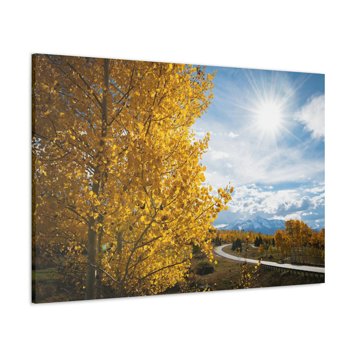 Golden Sunshine - Canvas