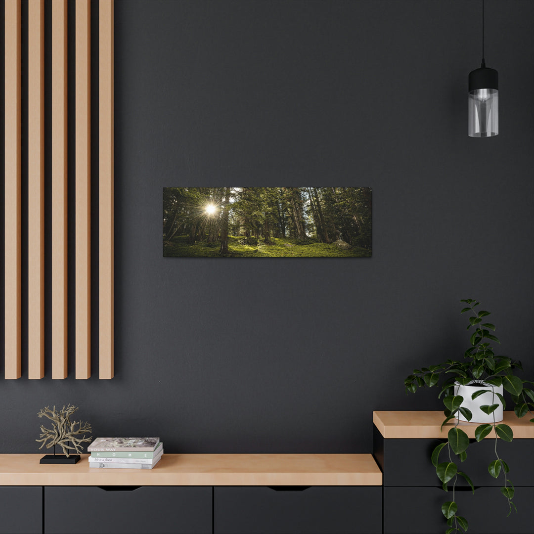 Forest Light - Canvas