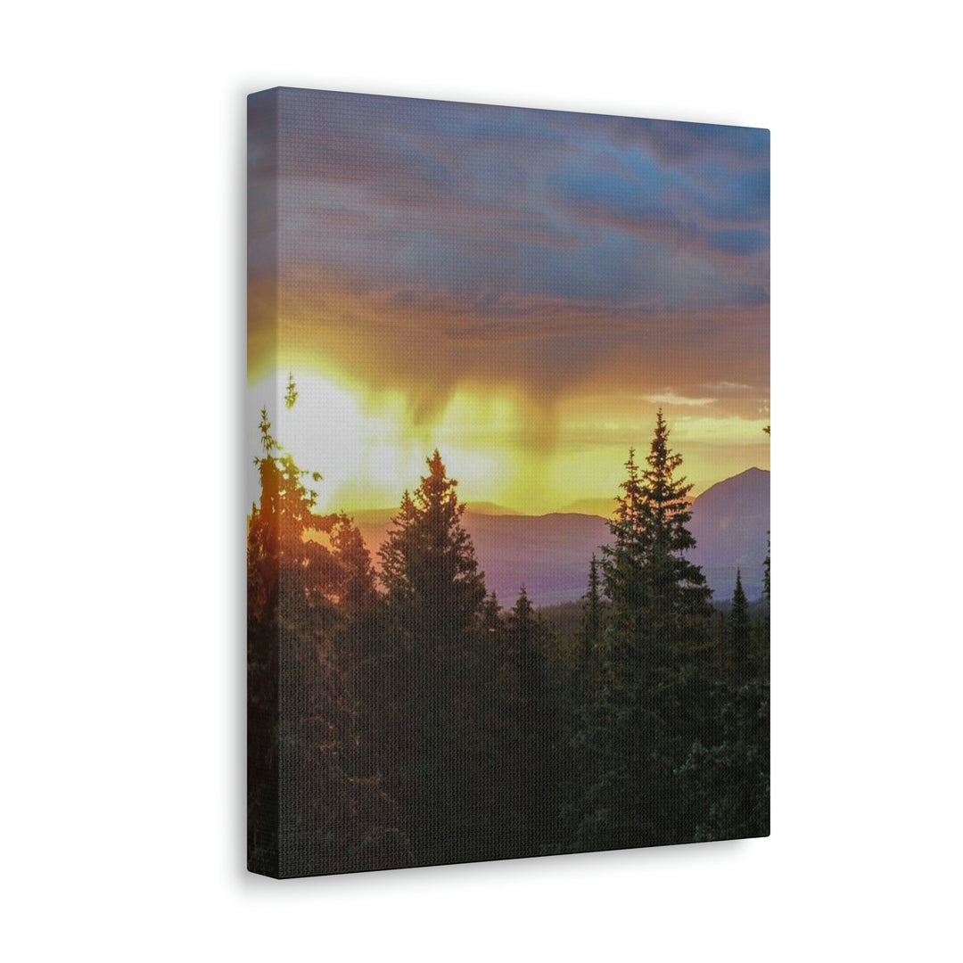 Rainy Sunset Through the Trees - Canvas