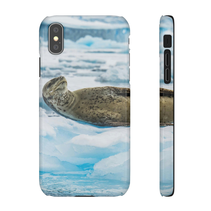 Leopard Seal Relaxing - Phone Case