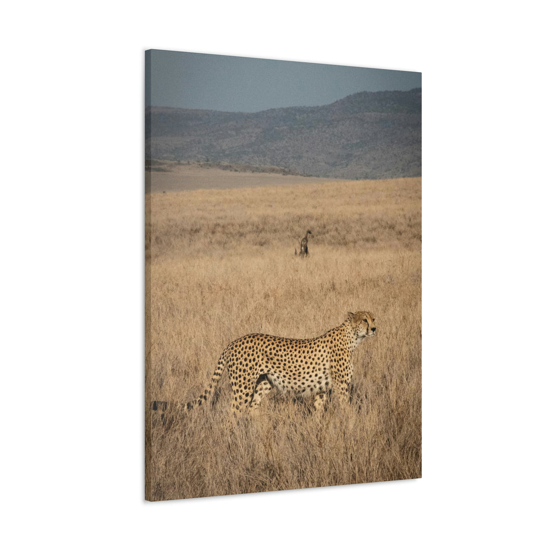 Regal Camouflage - Canvas