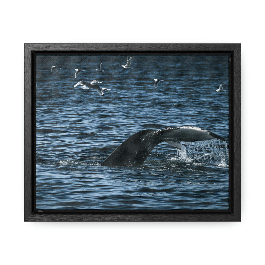 Feeding Tail - Canvas with Frame