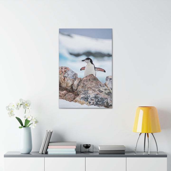 Stretched Penguin - Canvas