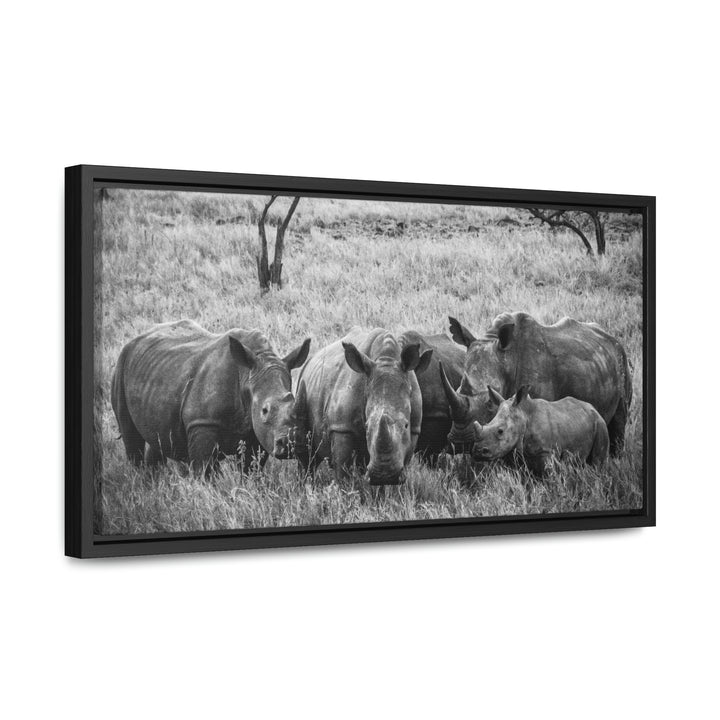 Rhino Family in Black and White - Canvas with Frame