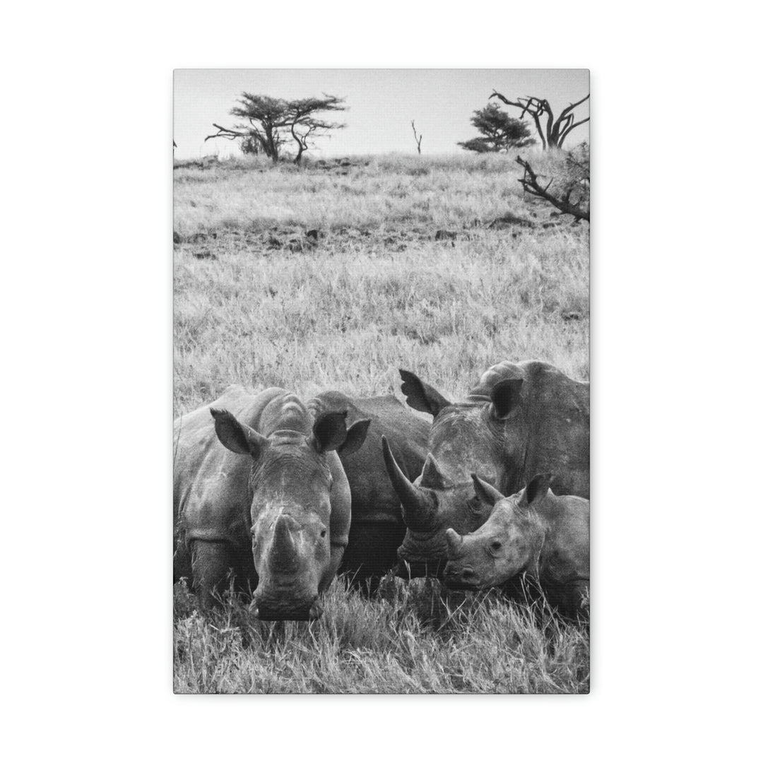 Rhino Family in Black and White - Canvas