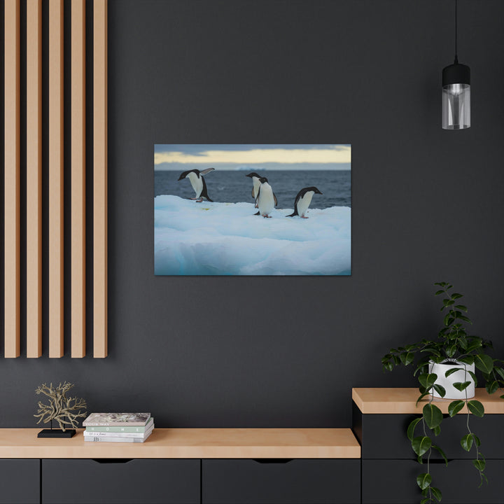 Penguin Dance - Canvas